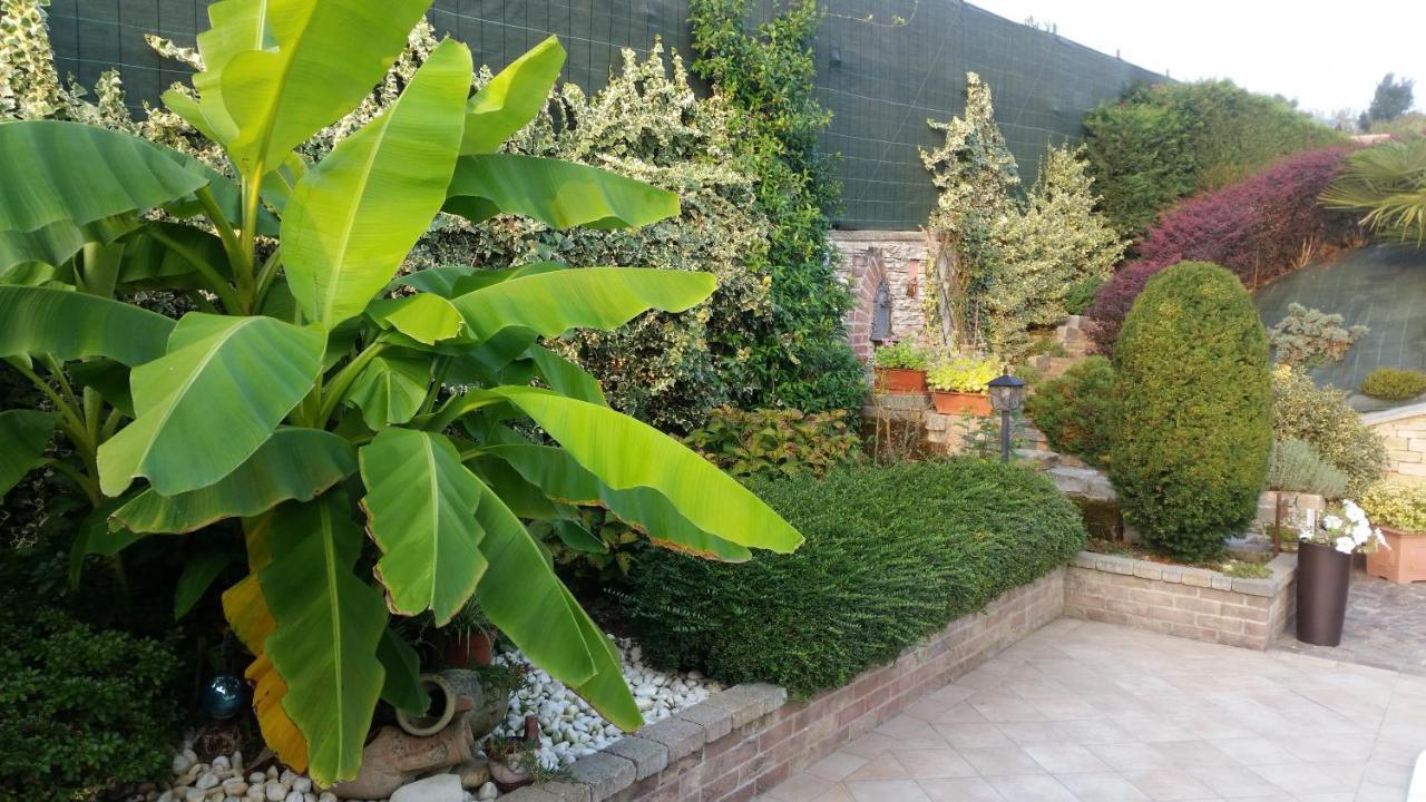 Villa Laura B&B Фосано Екстериор снимка